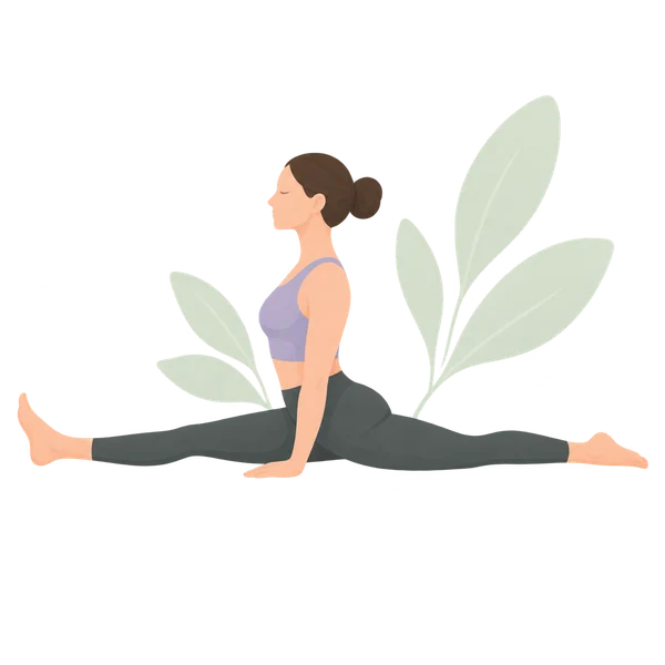 Work toward a front split